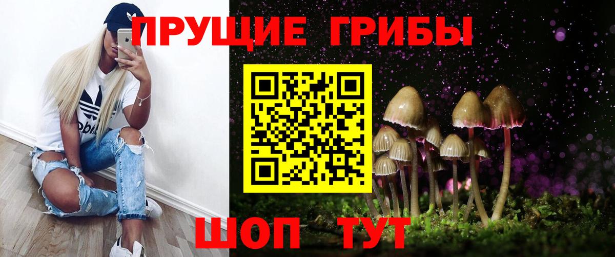 Галлюциногенные грибы мицелий Волгодонск
